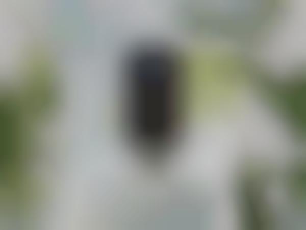 Voice Assistant Security Cameras