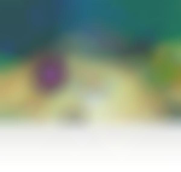 Therapeutic Video Games