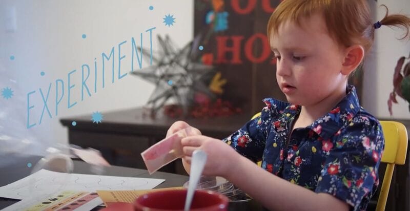 Kid-Friendly Subscription Boxes