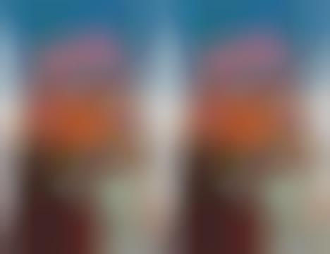 Spiced Smoky Snack Chips