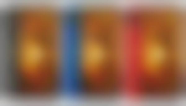 Accessible Battery Focused Smartphones