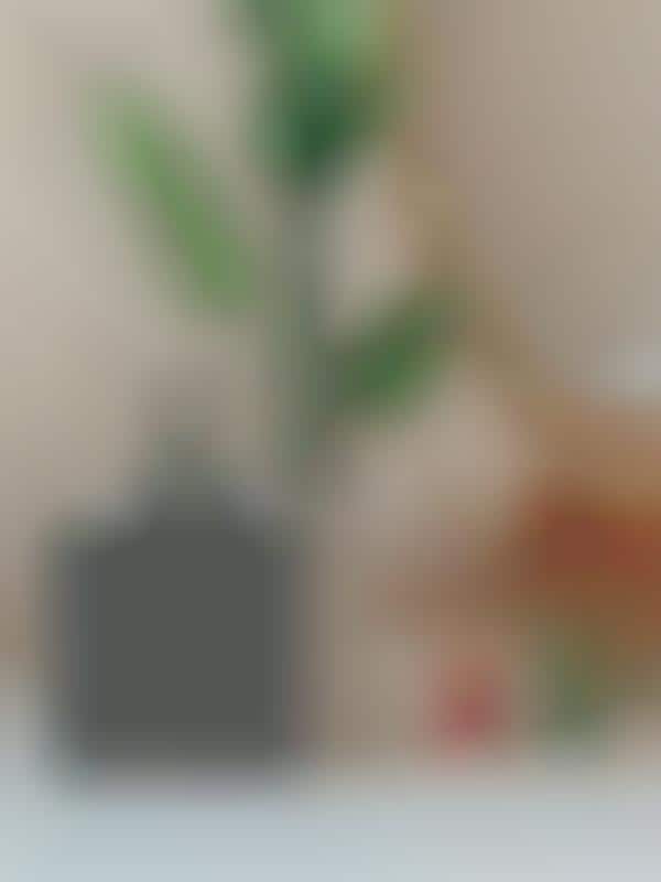 Soothing Screen-Free Speakers