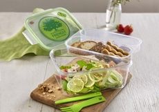 Sustainable Reusable Food Containers Article Thubnail