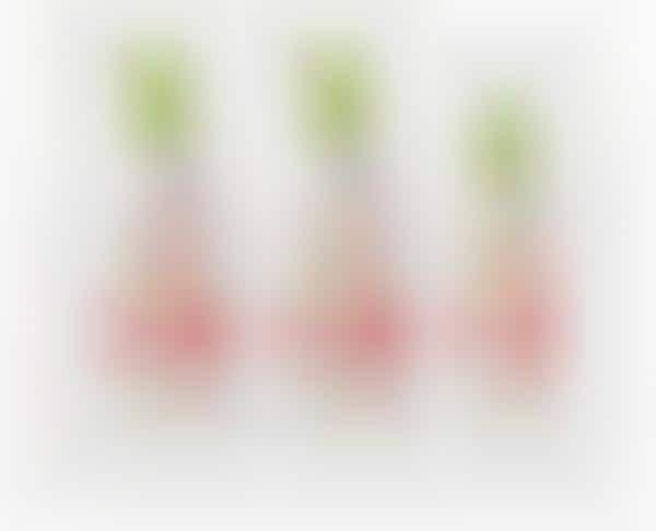 Free-From Baby Haircare