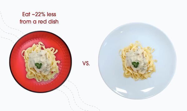 Illusory Portion Control Bowls : IGGI bowl