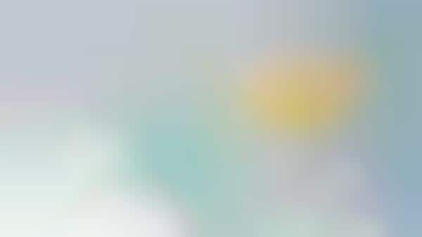 Virtual Beauty Labs