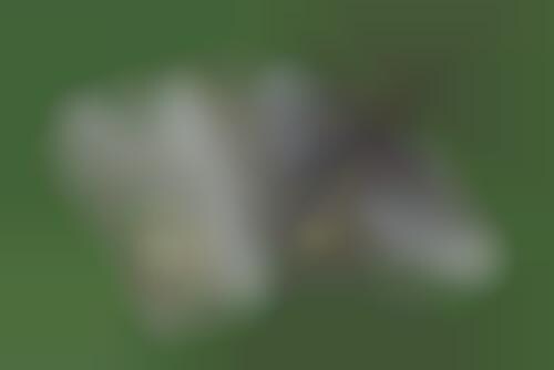 shoe releases in april 2021