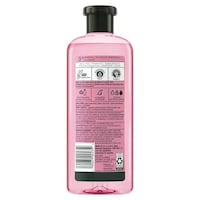 Rose Hip-Infused Haircare Image 2