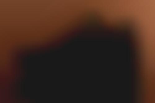 Dark Tonal Traditional Sneakers