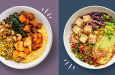 DTC Healthy Vegan Meals