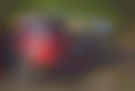 Rear-Mounted Automotive Gear Racks