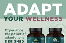 Fermented Adaptogen Supplements