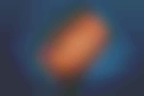 Luxury Mushroom-Made Handbags