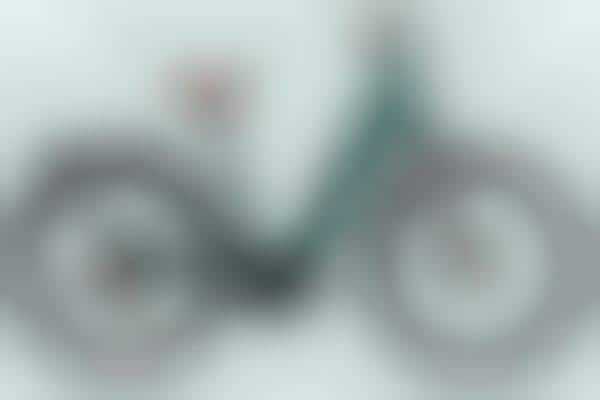 Computer-Equipped Electric Bikes