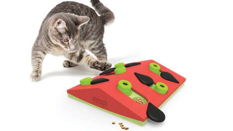 Cat-Friendly Puzzle Toys