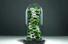 Botanical Sculpture Planters