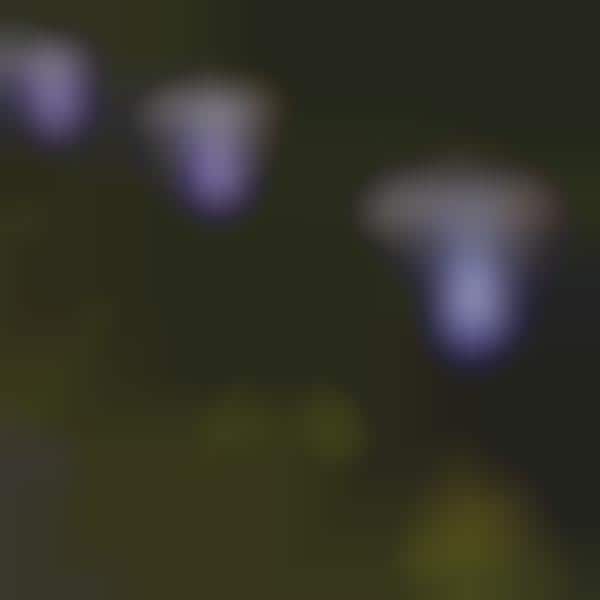 Dual-Purpose Garden Lights
