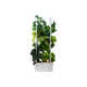 All-in-One Indoor Garden Systems Image 2