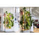 All-in-One Indoor Garden Systems Image 3