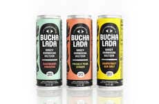 Fruity Kombucha Seltzers