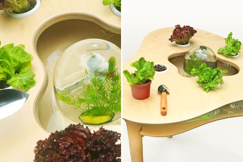 Therapeutic Aquaponics Tables