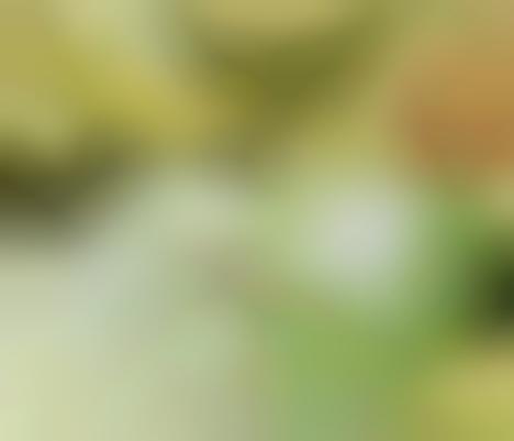 Calming Recovery Serums