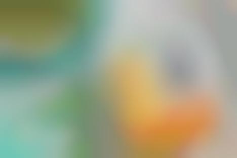 Gluten-Free Cauliflower Pastas