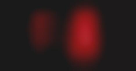 Offline Pizza Initiatives