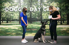 Stimulating Dog Training Courses