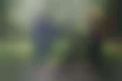 Stimulating Dog Training Courses