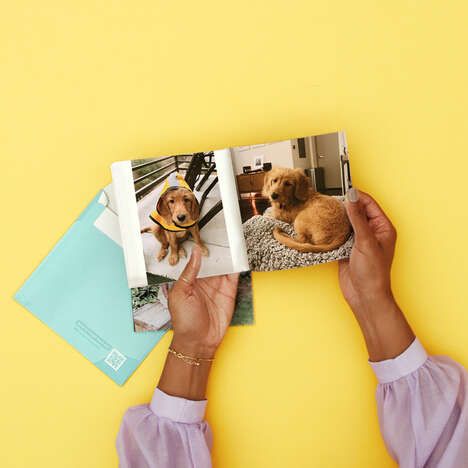 Cost-Free Pet Photo Books