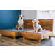 Sustainable Pet Beds Image 1