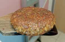 Plant-Powered Microalgae Patties