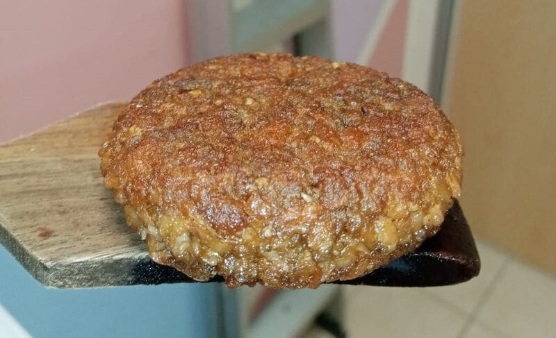 Plant-Powered Microalgae Patties