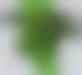 Experimental Fontography