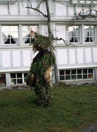 Grass Monsters Image 3
