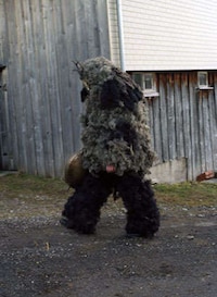 Grass Monsters Image 6