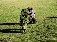 Grass Monsters Image 8