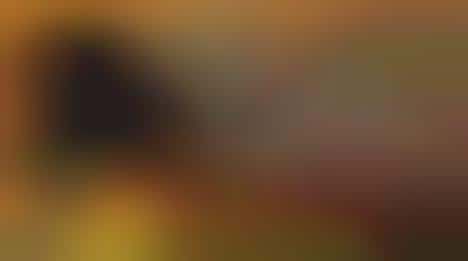 Sushi-Inspired Sofas