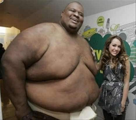 10 Sumo Wrestler Inspirations