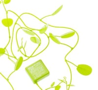 Earthy Adaptors Image 2