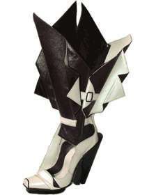17 Extreme Niche Boots