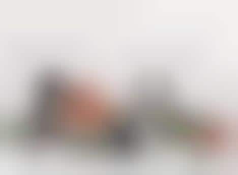 Tree-Inspired Seating