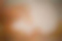 Handsy Photography Image 1
