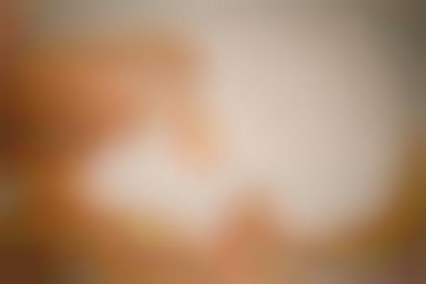 Handsy Photography