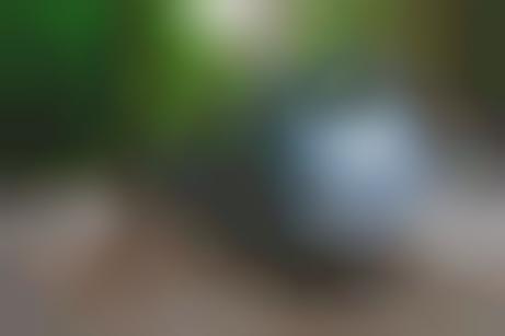 Virtual Car Stalkers