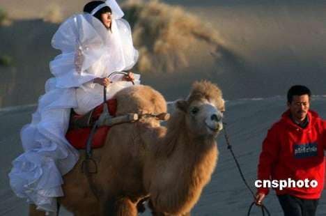 35 Desert Innovations