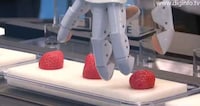 Sushi-Making Robots Image 8