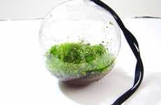 Miniature Moss Gardens