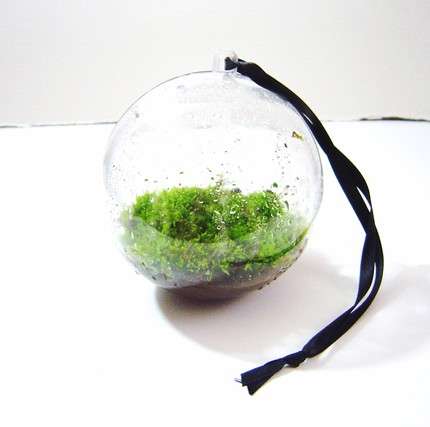 Miniature Moss Gardens